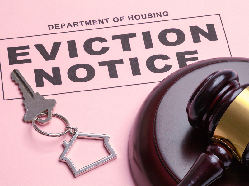 Eviction notice displayed on a pink background, highlighting housing issues.